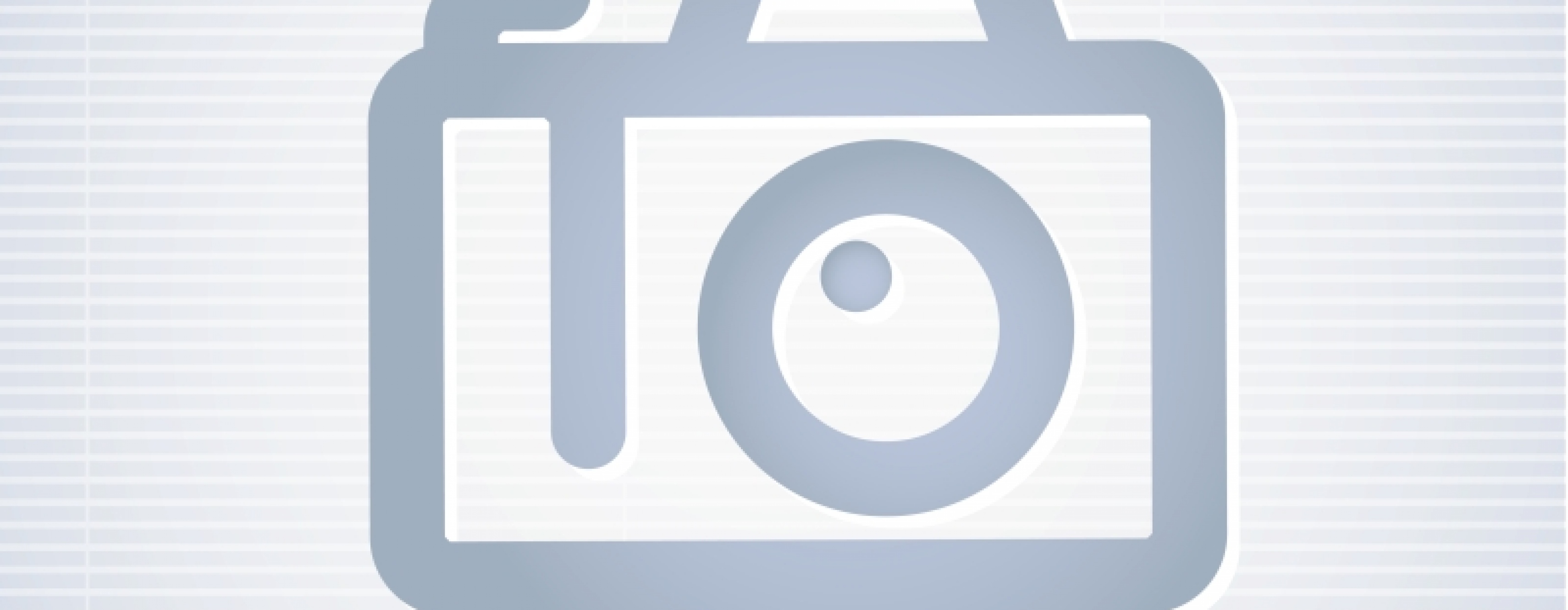 Spoelstra & Nijboer, voor opritten en sierbestrating.